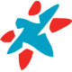 Airline Logo